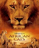 African Cats /  :  